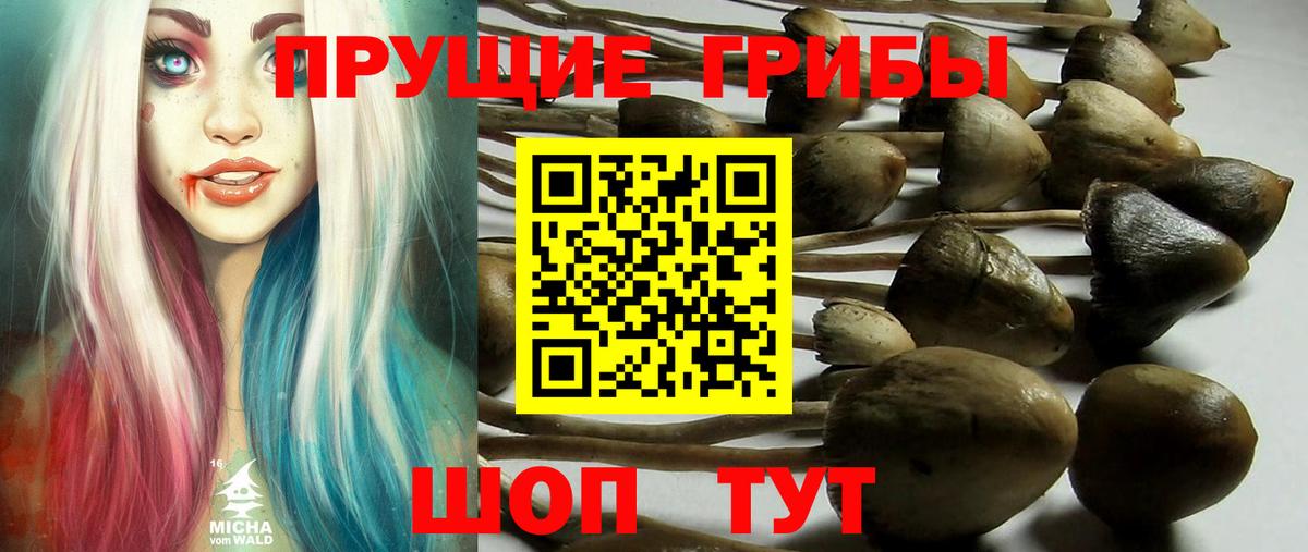 Новотроицк  Галлюциногенные грибы MAGIC MUSHROOMS  Вход с VPN 